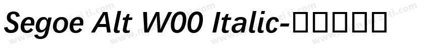 Segoe Alt W00 Italic字体转换